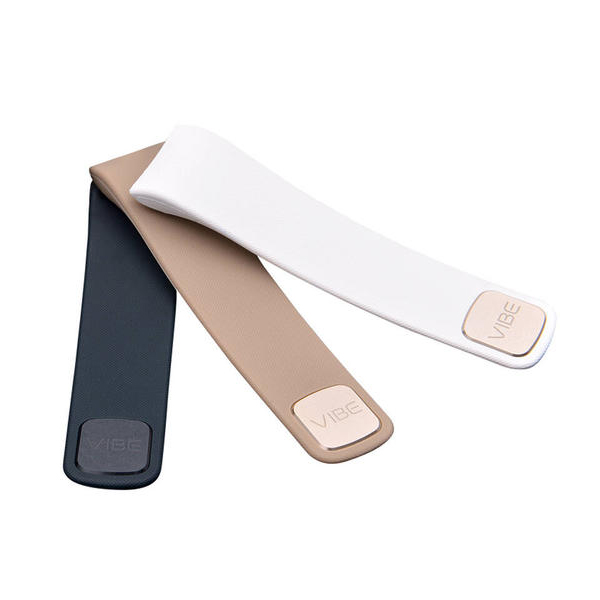 機(jī)器視覺外觀檢測(cè)手環(huán)表帶方案ppt